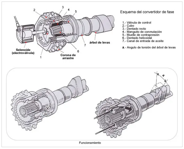 Distribución variable 1era parte