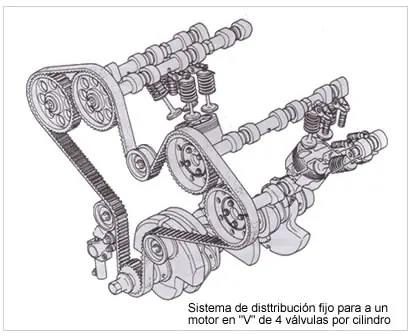 Distribución variable 1era parte