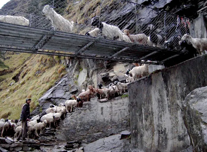 puentes