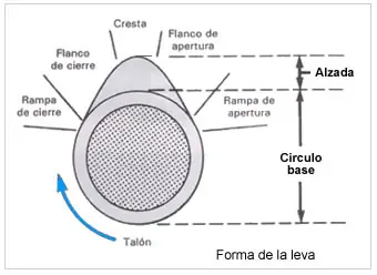 distribucion