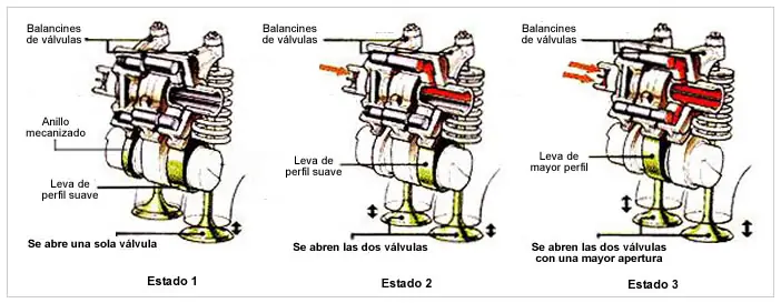 distribucion