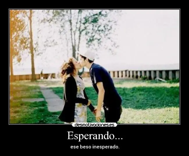 Grafico