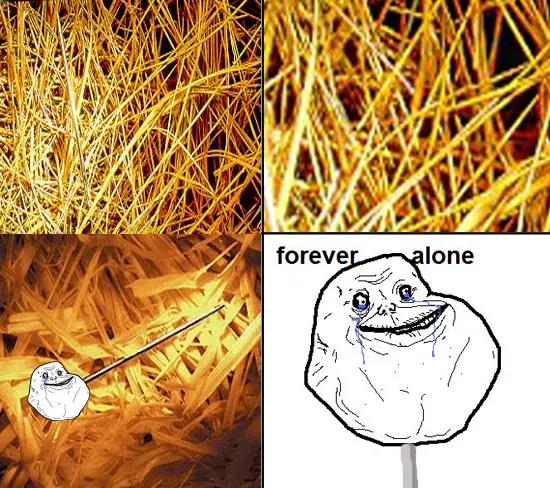 humor