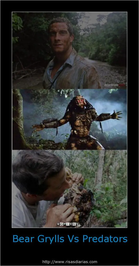 XD