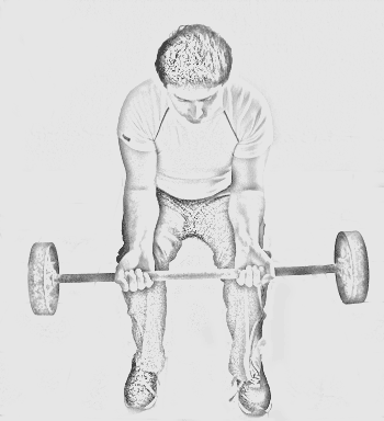 Manual para el gimnasio en casa(ilustrado)