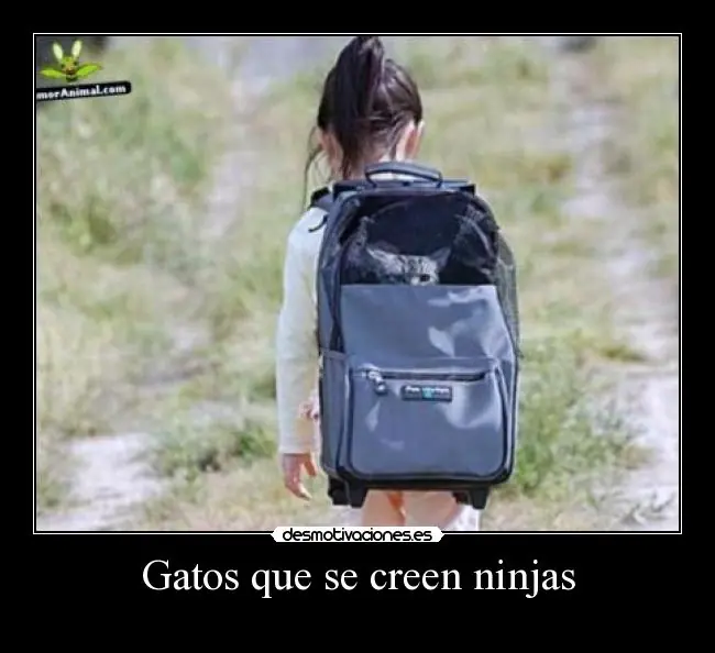 Imagenes para reirse [Megapost]