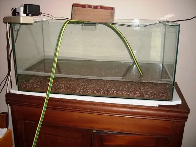 Peces tropicales