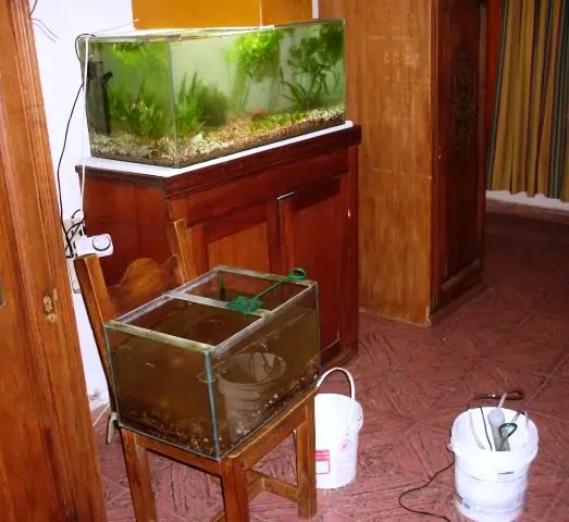 acuario tropical