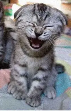 Carta de un hijo adolescente a su padre ( Muy bueno)