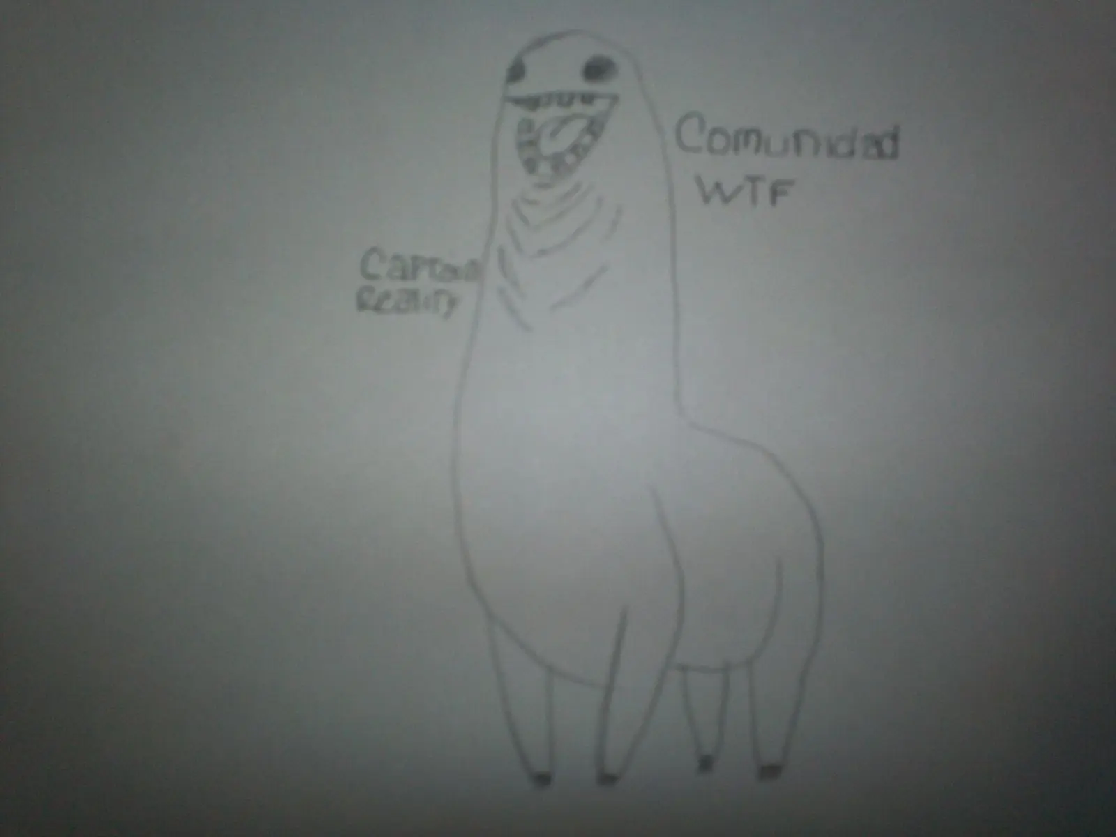 comunidad