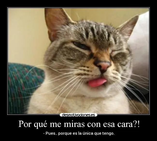 memes