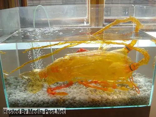 arte con botellas de plastico