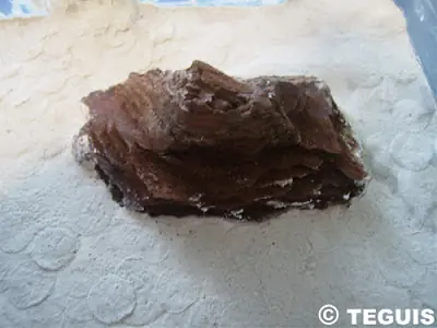 hormigueros
