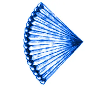 hormigueros