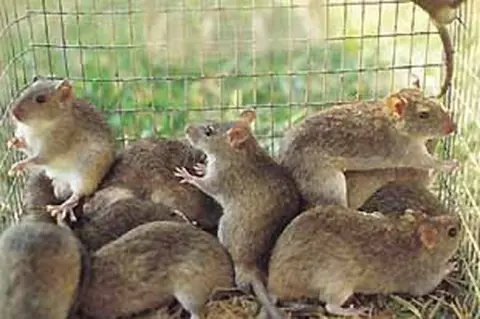 ¿No lo sabías?, Ahora lo sabes...