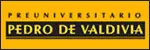 Guias Preuniversitario Pedro de Valdivia 2009!!!