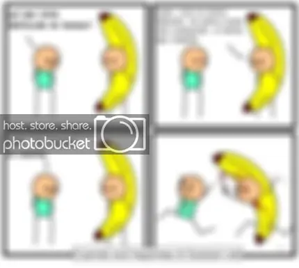 -----------------------------