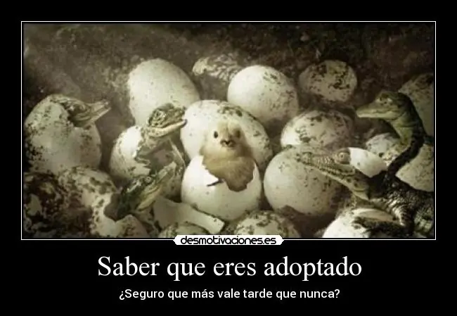 desmotivaciones