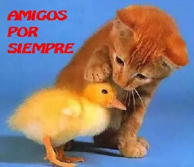 De mii para tii!! ... tu San Valentin!!!