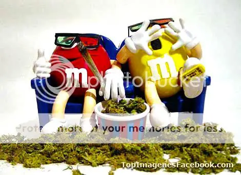 Las mejores frases para Facebook divertidas