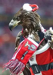 El águila del Benfica