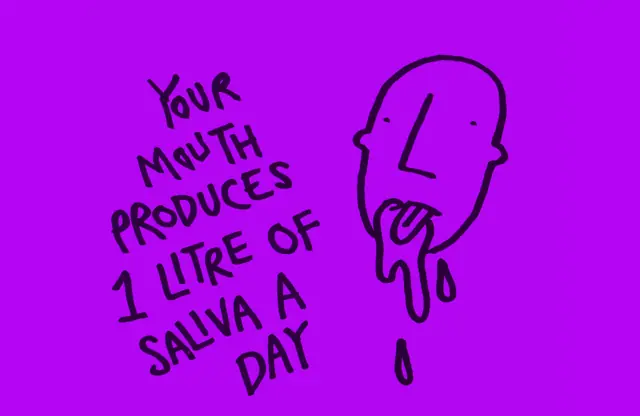las 41 curiosidades de tu cuerpo que no sabes