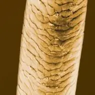 ten