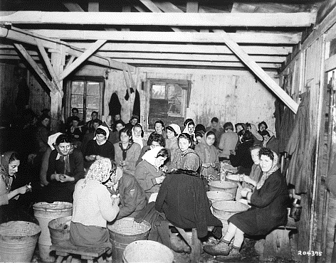 Las fotos de Bergen-Belsen