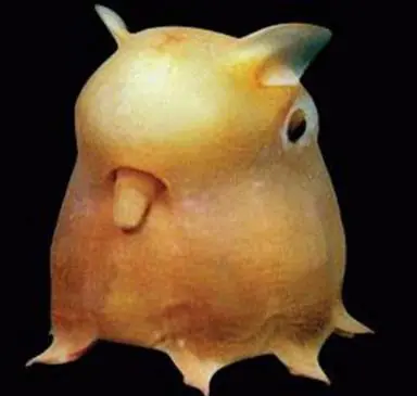 misterioso
