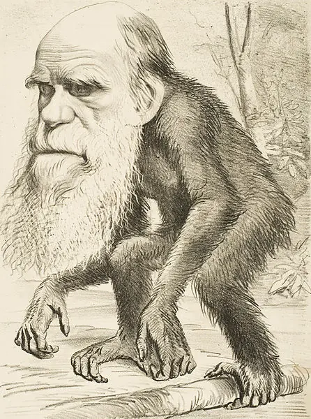 Los Premios Darwin