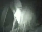 Relatos de terror: parte 1.