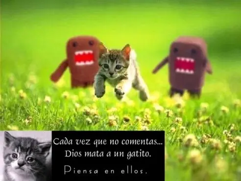 imagenes de "cianuro y felicidad" (traducido por m