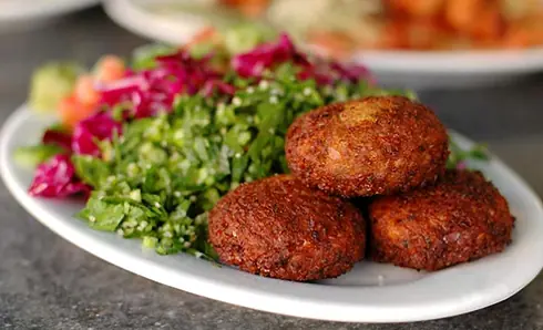 mas de 100 recetas de comida arabe.