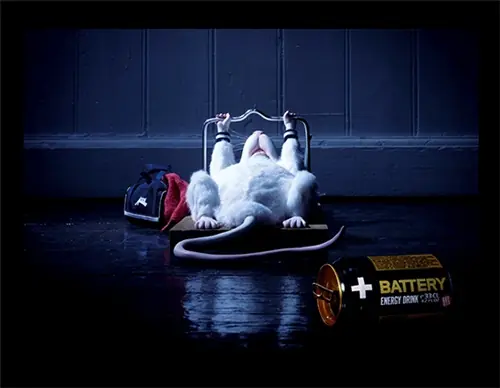Una imagen vale más que mil palabras (publicidad)