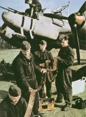 piloto