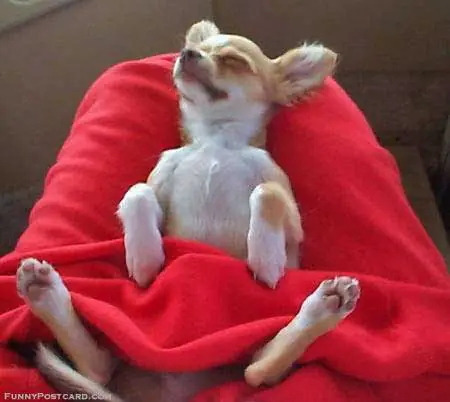 Se recomienda discreción.. (Megapost)