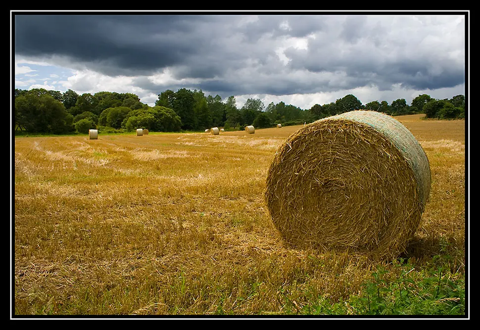 Adicto a la masturbación
