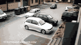 Gifs Grasiosos