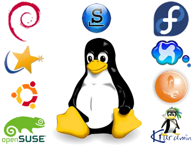 ¿Y si el mundo entero ocupara Linux?