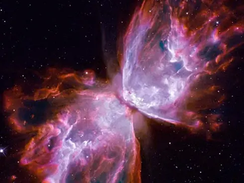 Una mariposa en el universo...