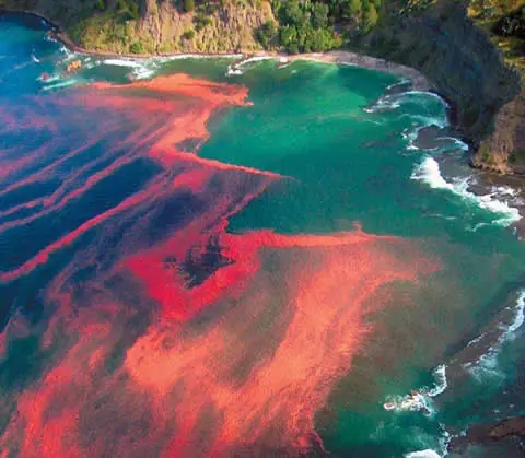 7 fenomenos de la naturaleza 7 fenomenos de la naturaleza