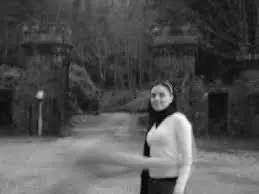 videos