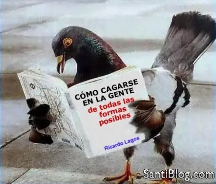 Un punto por risa