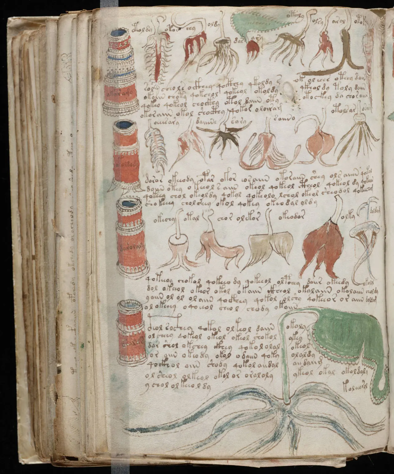 El Libro mas Raro, y Misterioso del Mundo [+ imagenes]
