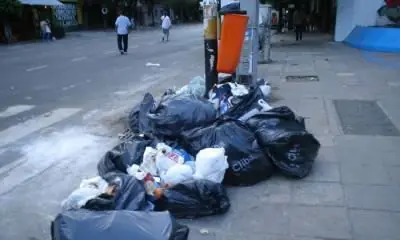 Proyecto Sur: Políticas verdes vs. ecologismo abstracto