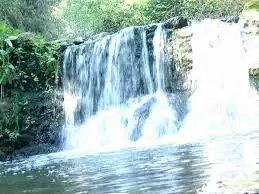 Porque destruir la naturaleza?