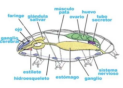 radiacion