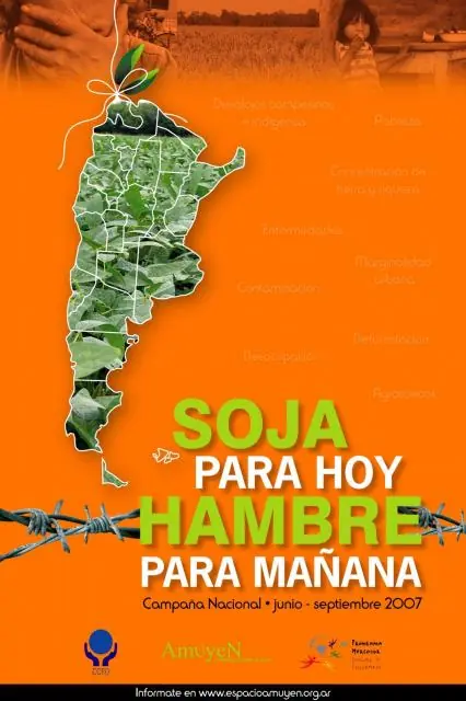 Soja para hoy, enfermedad para mañana