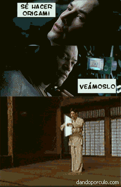 imagenes poco vistas 6