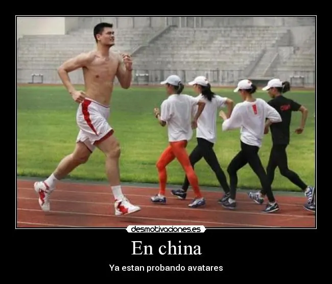 yao ming